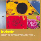 Kvistir