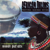 African Drums - Traditional Mandingue Rhytms