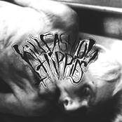 Kill Fashion Hippies