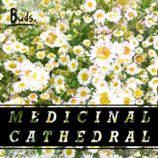 Medicinal Cathedral