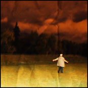 Shrimpnose: Small Wonders