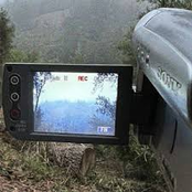 In My Restless Dreams