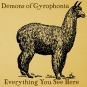 Everything You See Here