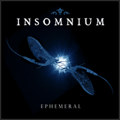 The Swarm by Insomnium