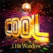 The Casuals: Cool - One Hit Wonders