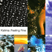 Shine by Kalima