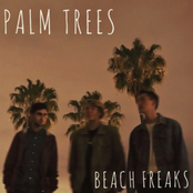 Palm Trees