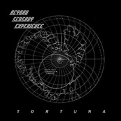 Tortuna by Beyond Sensory Experience