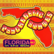 Psychedelic States: Florida In The 60s, Vol. 3