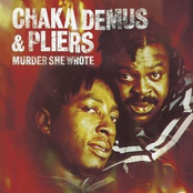 Chaka Demus and Pliers: Murder She Wrote Single