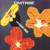 An Unexpected Groovy Treat by Finitribe