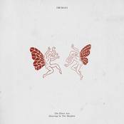 The Elves Are Dancing In The Meadow