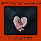Ethnic Abortion