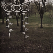 The Fruit on the Vine