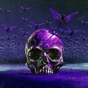 chasecvlt - PURPLEKUSH