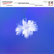 Rothstein: Carnations