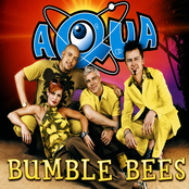 Bumble Bees cover