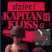Szare myszy
