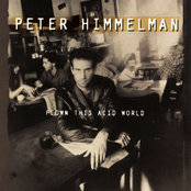 Peter Himmelman: Flown This Acid World