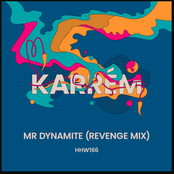 Mr Dynamite (Revenge Mix)