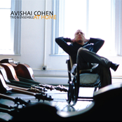 Avishai Cohen Trio: At Home