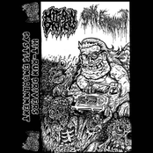 Split with Hit-Run Drivers