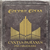 Cantus Buranus - Das Orgelwerk