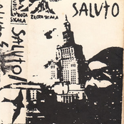 Saluto
