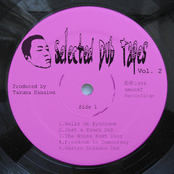 Selected Dub Tapes Vol. 2