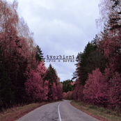 огни и ветви