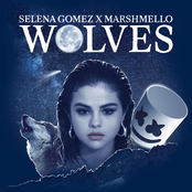 Selena Gomez: Wolves