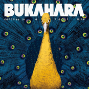 Canaries in a Coal Mine