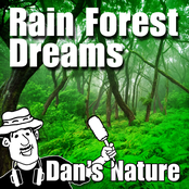 Rain Forest Dreams (Nature Sound with Music)
