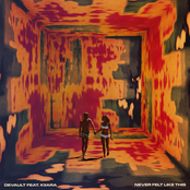 Never Felt Like This - Single