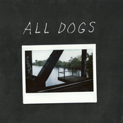 All Dogs: 7