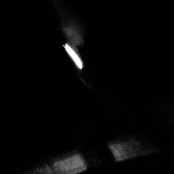 Torn From Tainted Womb