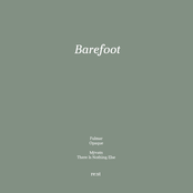 Barefoot: Fulmar