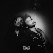 Fraud - Single