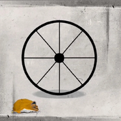 Hamster