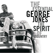 A Good Year For The Roses by George Jones