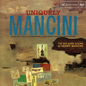 uniquely mancini