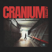 Cranium