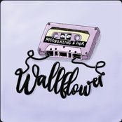 Wallflower - Single