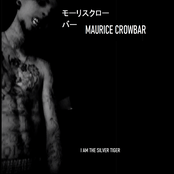 I Am The Silver Tiger