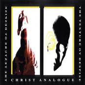 Intervention by Christ Analogue