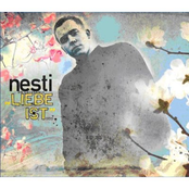 nesti