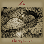 A Berry Bursts - Single