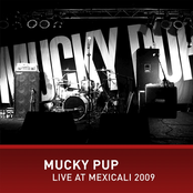 Mucky Pup Live at Mexicali