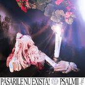 PSALMII