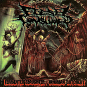 Collecting Cadavers by Flesh Consumed
